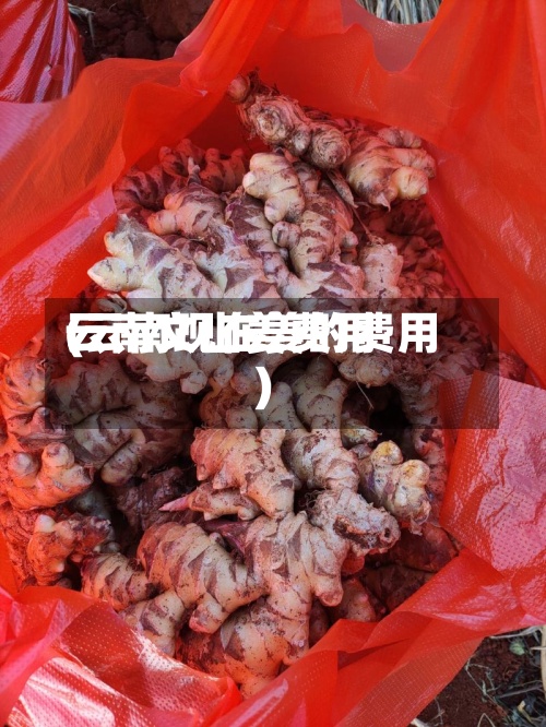 云南文山姜费用(云南现在姜的费用)