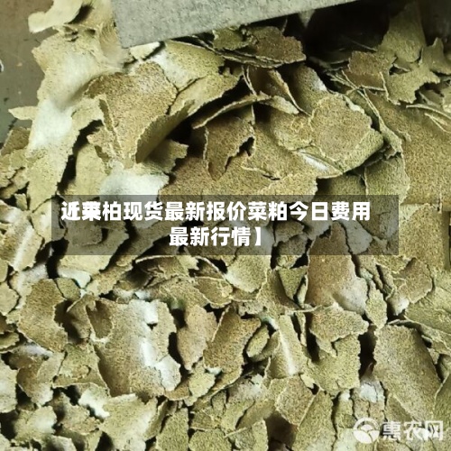 近来【菜柏现货最新报价菜粕今日费用最新行情】-第2张图片