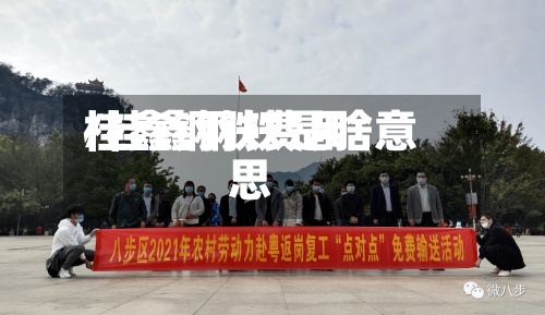 桂鑫钢铁费用/桂鑫钢铁是啥意思-第2张图片