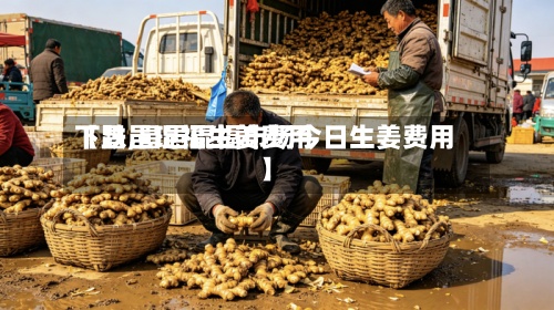 【昌邑琨福生姜费用下跌,昌邑琨福市场今日生姜费用】-第2张图片