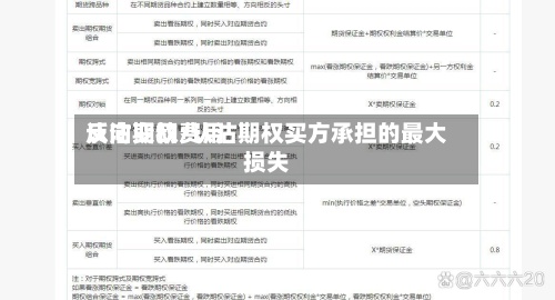 认沽期权费用反向变动/认沽期权买方承担的最大损失-第3张图片