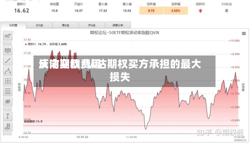 认沽期权费用反向变动/认沽期权买方承担的最大损失-第2张图片