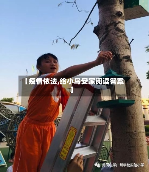 【疫情依法,给小鸟安家阅读答案】-第2张图片