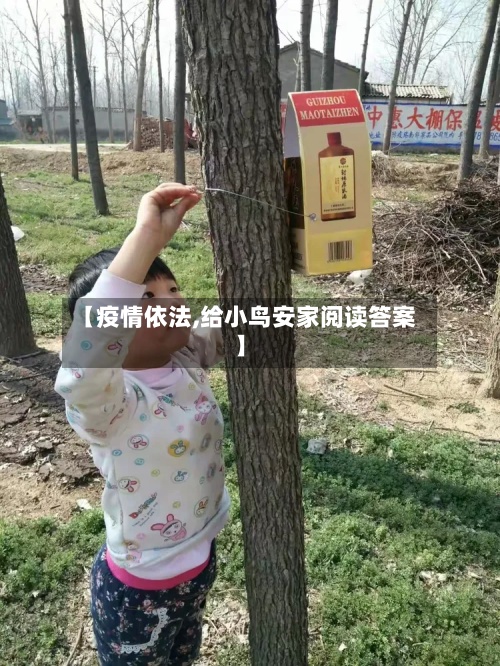 【疫情依法,给小鸟安家阅读答案】