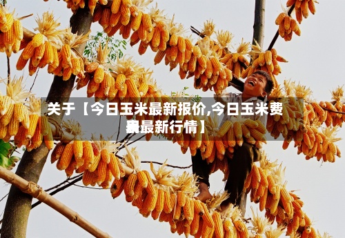 关于【今日玉米最新报价,今日玉米费用表最新行情】-第2张图片