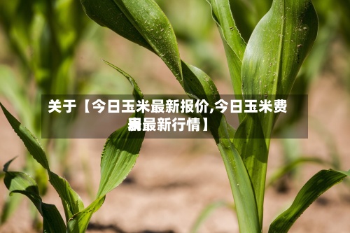 关于【今日玉米最新报价,今日玉米费用表最新行情】