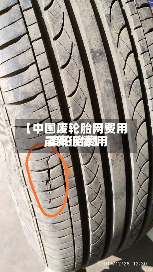 【中国废轮胎网费用,废轮胎费用最新行情】-第2张图片
