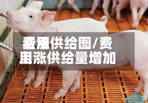 费用看涨供给图/费用上涨供给量增加-第2张图片