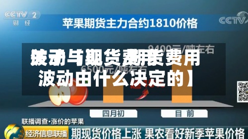 关于【现货费用波动与期货,期货费用波动由什么决定的】