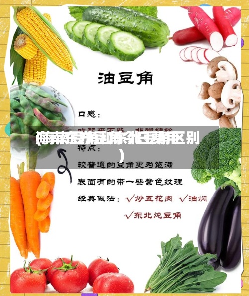 海南东方豆角今日费用(海南豆角和东北豆角区别)-第2张图片