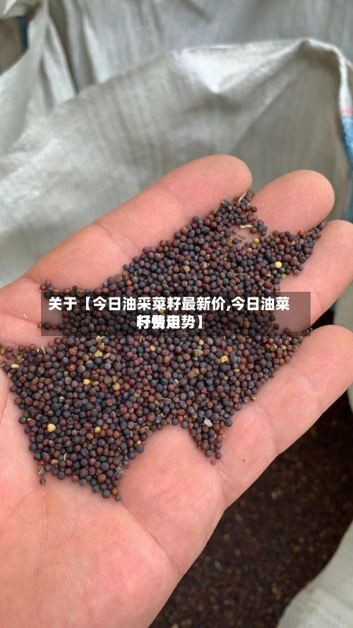 关于【今日油采菜籽最新价,今日油菜籽费用行情走势】