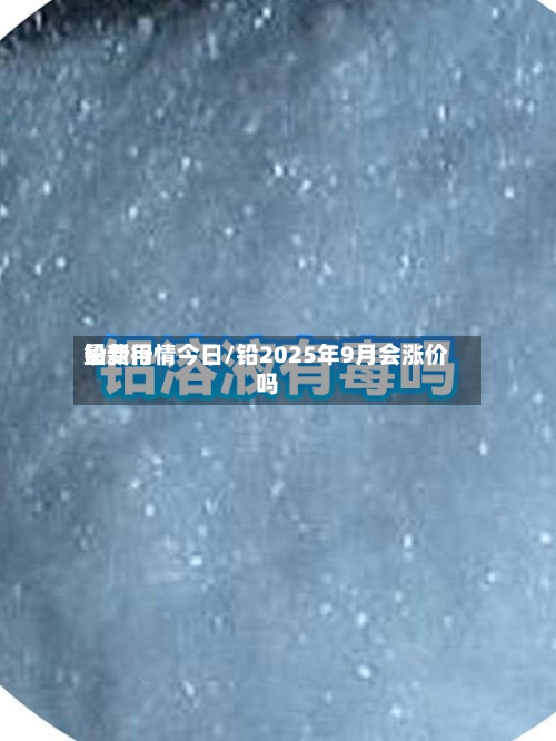铅费用最新行情今日/铅2025年9月会涨价吗