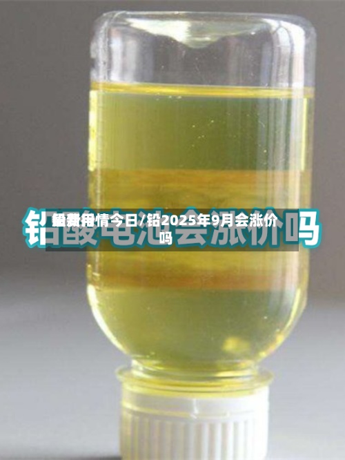 铅费用最新行情今日/铅2025年9月会涨价吗-第3张图片