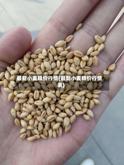 最新小麦粮价行情(最新小麦粮价行情表)-第2张图片