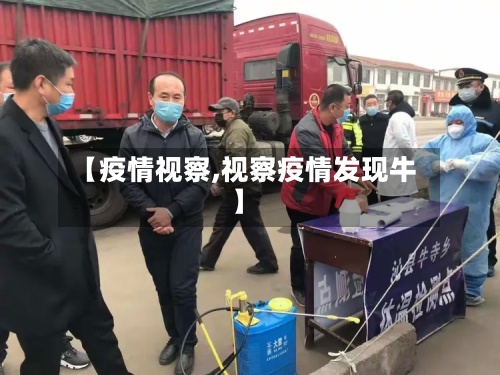 【疫情视察,视察疫情发现牛】
