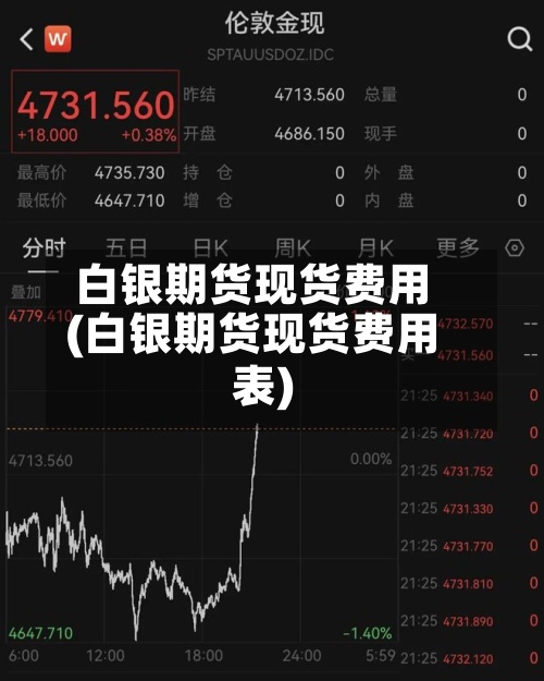 白银期货现货费用(白银期货现货费用表)-第2张图片