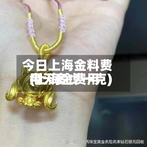 今日上海金料费用(上海金费用今天多少一克)