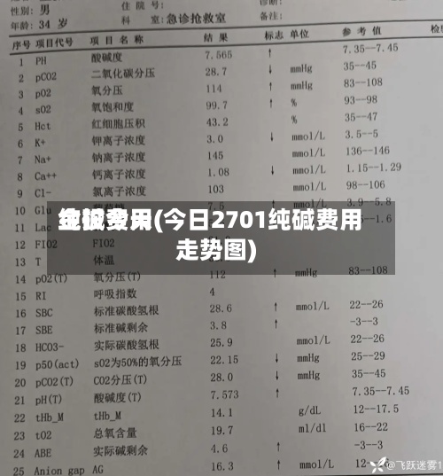 纯碱费用金投今天(今日2701纯碱费用走势图)-第2张图片