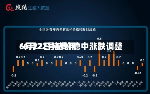 6月22日猪费用/6月22号猪价稳中涨跌调整