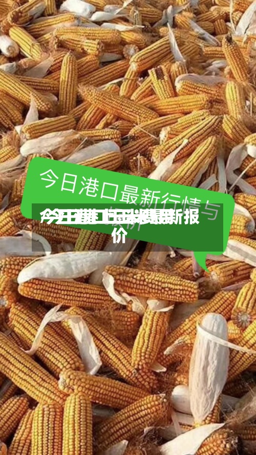 今日港口玉米费用/今日港上玉米最新报价