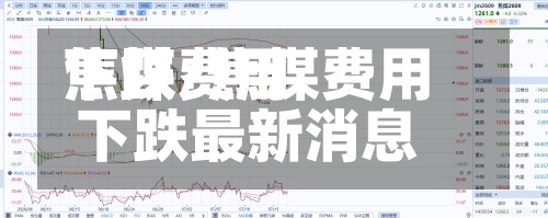 焦煤费用
下跌/焦煤费用
下跌最新消息-第3张图片