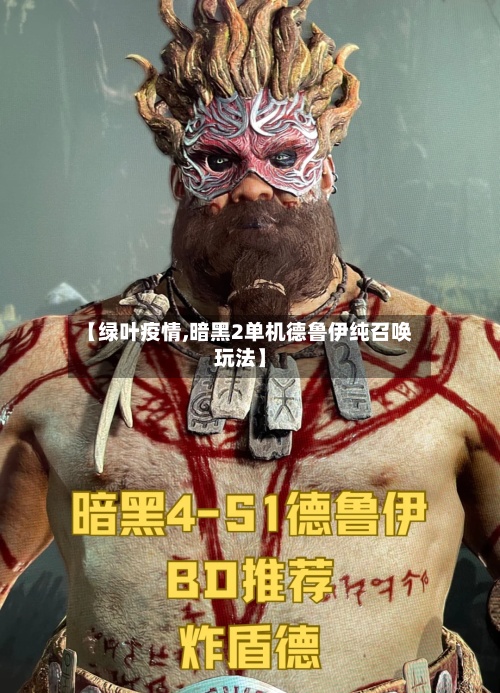 【绿叶疫情,暗黑2单机德鲁伊纯召唤玩法】