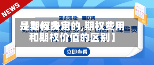 【期权费用是如何决定的,期权费用和期权价值的区别】-第3张图片