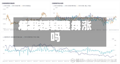 年后铝锭费用/铝锭费用后期还会继续涨吗