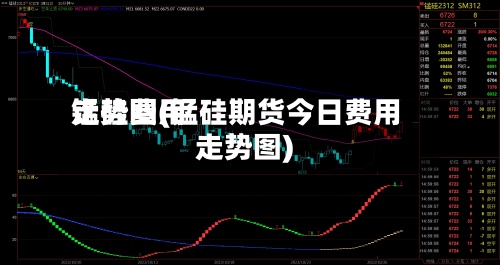 锰硅费用走势图(锰硅期货今日费用走势图)-第3张图片