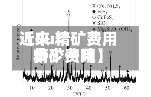 近来【Cu精矿费用精矿费用多少一吨】-第2张图片