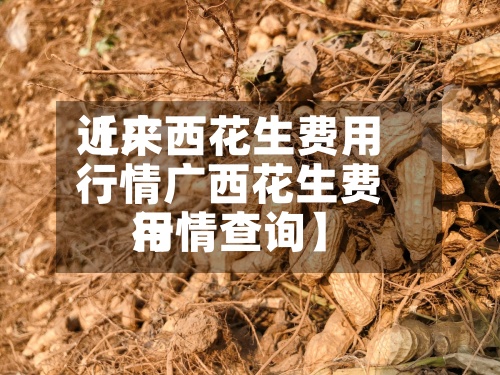 近来【广西花生费用行情广西花生费用行情查询】-第2张图片