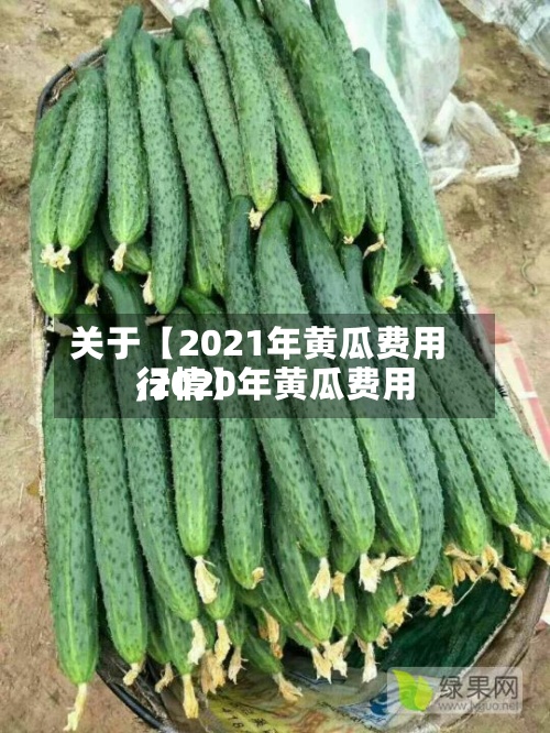 关于【2021年黄瓜费用,2020年黄瓜费用行情】-第2张图片