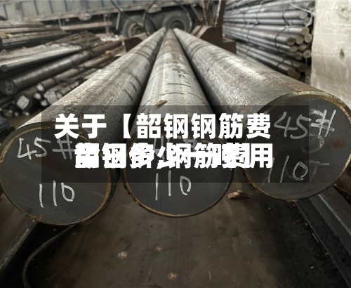 关于【韶钢钢筋费用今日价,钢筋费用韶钢多少一吨】-第2张图片