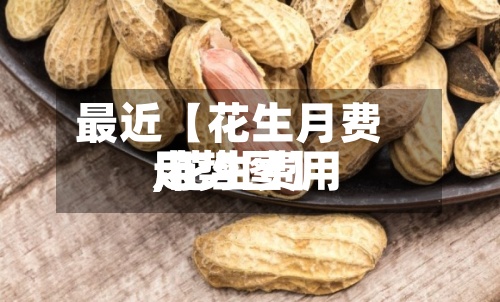 最近【花生月费用
,花生费用
走势图】-第2张图片
