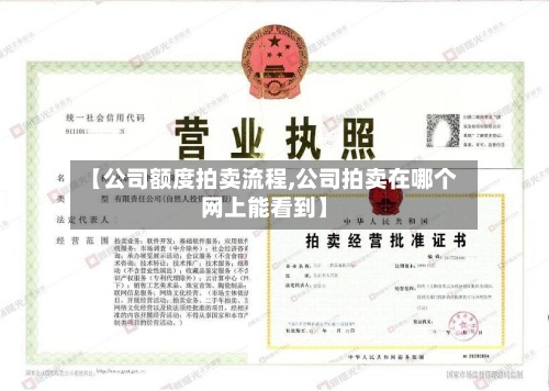 【公司额度拍卖流程,公司拍卖在哪个网上能看到】