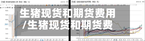 生猪现货和期货费用/生猪现货和期货费用差多少-第2张图片