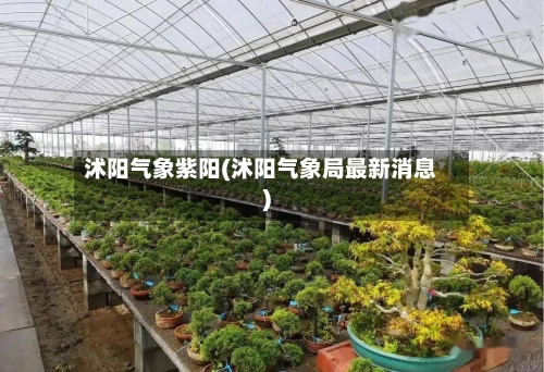 沭阳气象紫阳(沭阳气象局最新消息)