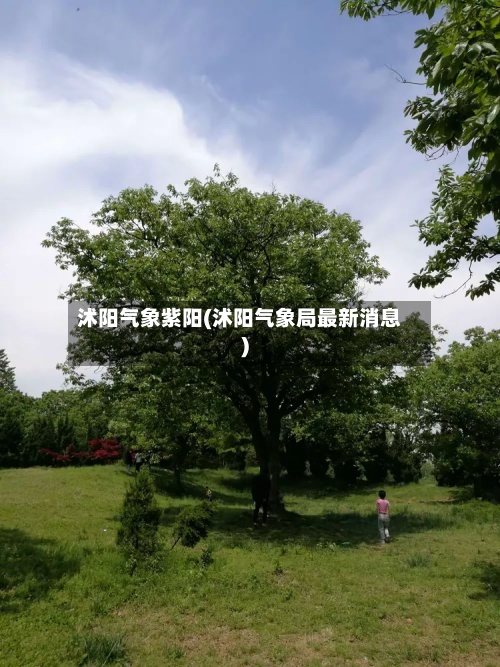 沭阳气象紫阳(沭阳气象局最新消息)-第2张图片