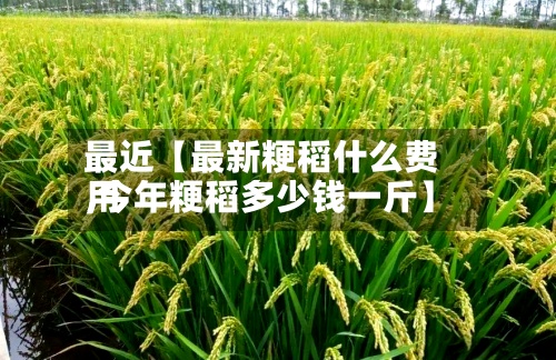 最近【最新粳稻什么费用,今年粳稻多少钱一斤】-第3张图片