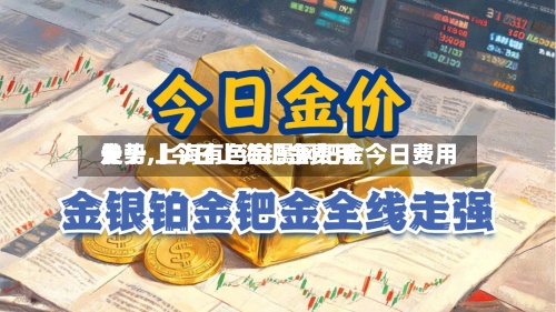 关于【今日上海钯金费用走势,上海有色金属网钯金今日费用】-第2张图片