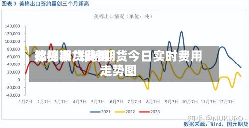 郑棉期货费用检测表/郑棉期货今日实时费用走势图-第2张图片
