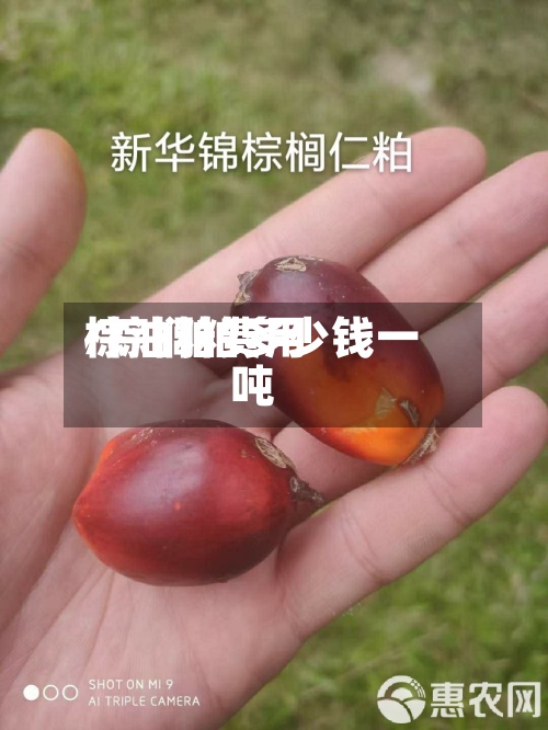 棕油粕费用/棕榈粕多少钱一吨-第3张图片