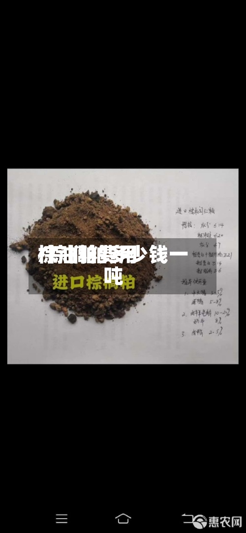 棕油粕费用/棕榈粕多少钱一吨-第2张图片