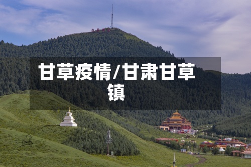 甘草疫情/甘肃甘草镇-第2张图片