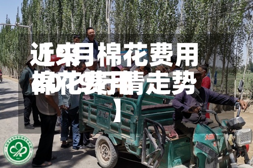 近来【9月棉花费用棉花费用2019行情走势】-第2张图片