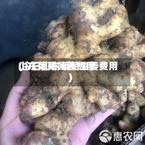 山东莱芜黄姜费用(今日山东莱芜生姜费用)