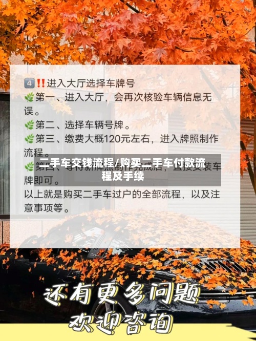 二手车交钱流程/购买二手车付款流程及手续
