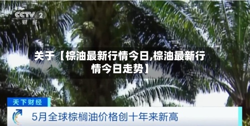 关于【棕油最新行情今日,棕油最新行情今日走势】