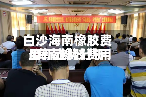 白沙海南橡胶费用/海南橡胶费用最新走势分析-第3张图片