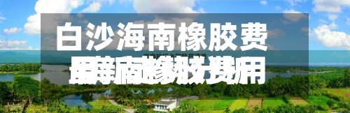 白沙海南橡胶费用/海南橡胶费用最新走势分析-第2张图片